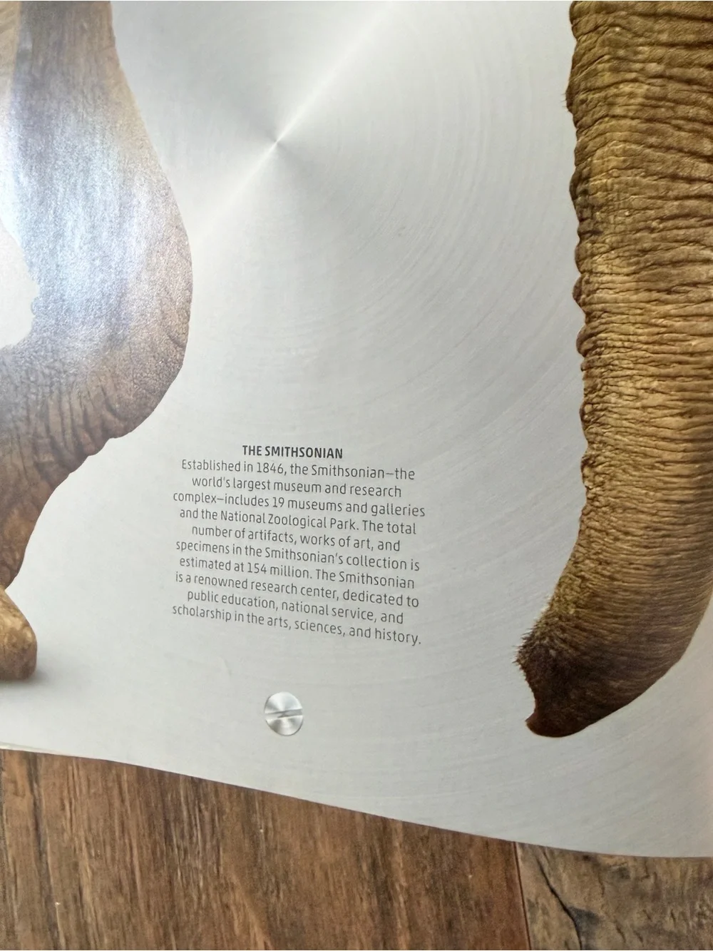 Smithsonian Explanatorium of Nature Illustrated Science Nature Book hardcover